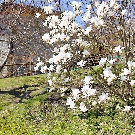 Casa Dei Tigli Villa Ormea Екстериор снимка