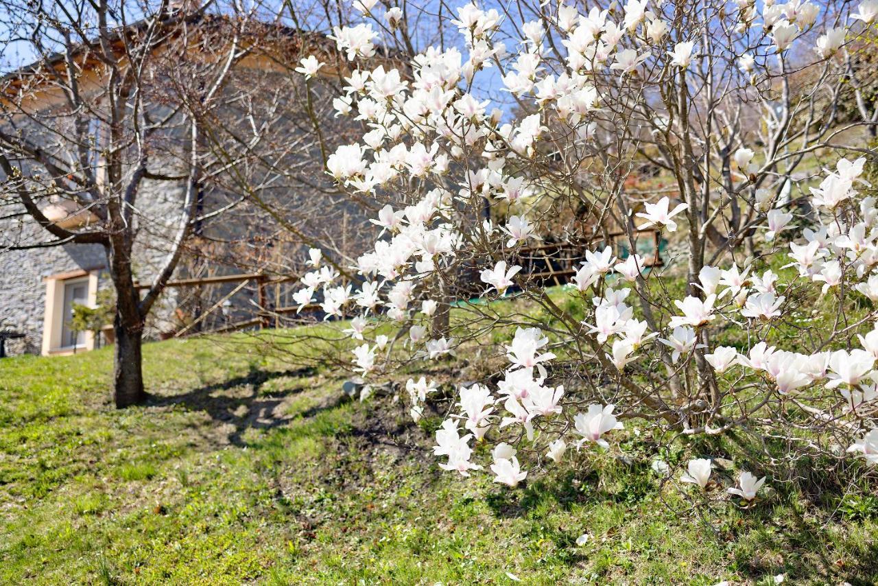 Casa Dei Tigli Villa Ormea Екстериор снимка
