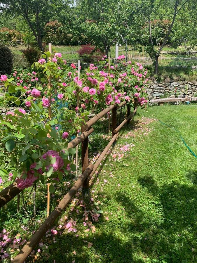 Casa Dei Tigli Villa Ormea Екстериор снимка